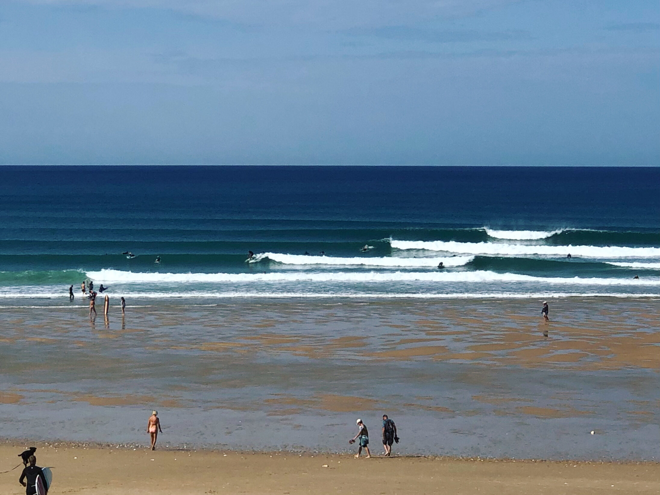 Koala Surf School by Long' John 1