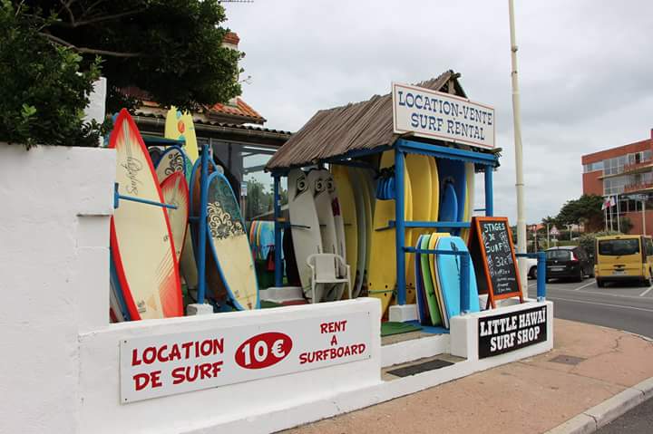 494731810 4033738583509183 6349382534833380181 n